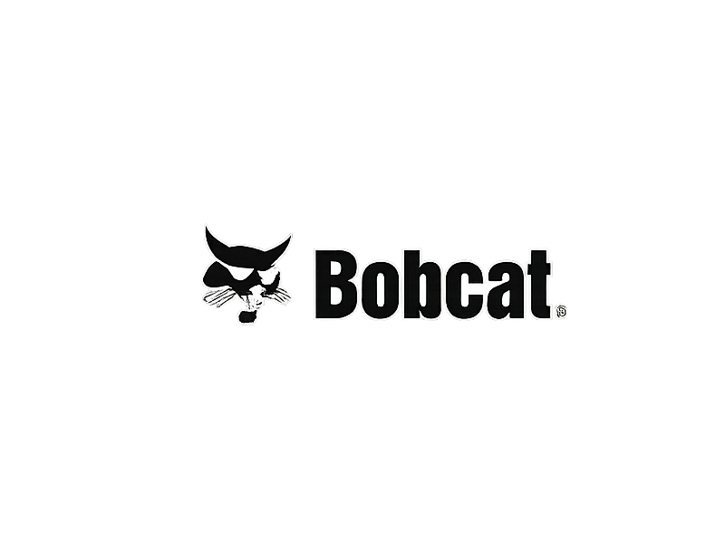Bobcat